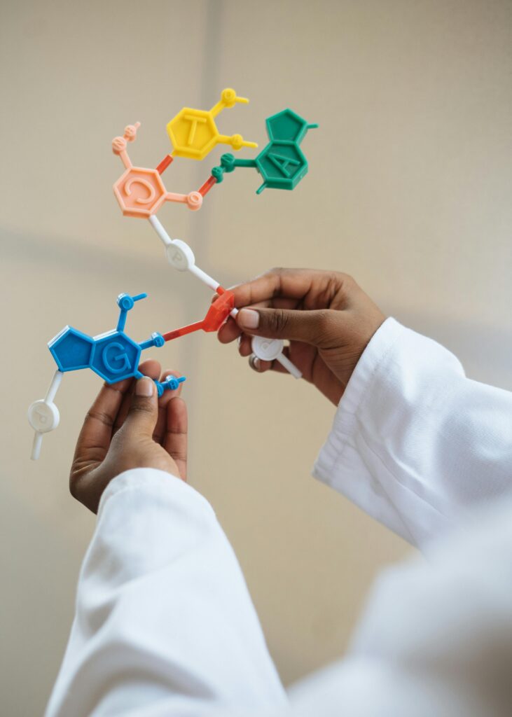 pexels-photo-3825527-3825527 Crop chemist holding in hands molecule model